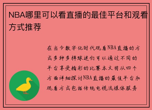 NBA哪里可以看直播的最佳平台和观看方式推荐